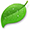 Coda Icon